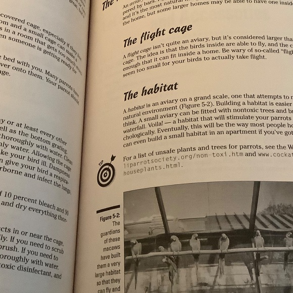 Parrots for Dummies - Picture 7 of 7